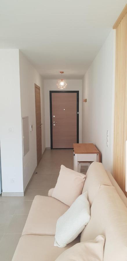 L'Albizia Studio Calme Et Tout Confort Lucciana  Ngoại thất bức ảnh